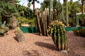 Majorelle garden