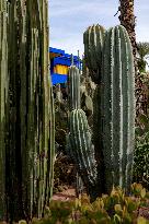 Majorelle garden