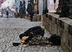 Prague, Charles Bridge, coronavirus, people, begging