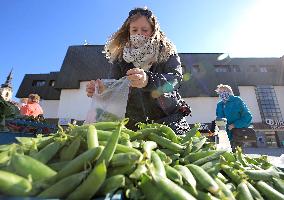 Farmer, market, people, face mask, Jihlava, Czech Republic