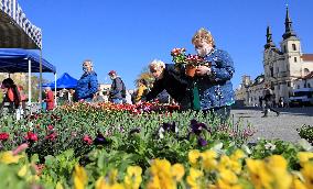 Farmer, market, people, face mask, Jihlava, Czech Republic