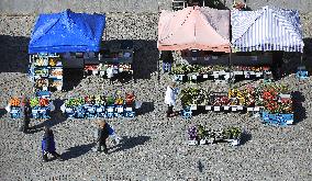 Farmer, market, people, face mask, Jihlava, Czech Republic