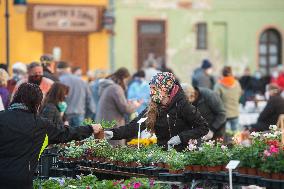 Farmer, market, people, face mask, Ceske Budejovice, Czech Republic