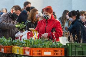 Farmer, market, people, face mask, Ceske Budejovice, Czech Republic