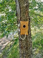 Route of artistic bird feeders and nesting boxes, Luhacovice