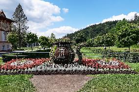 ornamental plant in the shape of spa cup, Luhacovice Spa