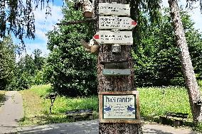 Route of artistic bird feeders and nesting boxes, Luhacovice