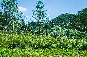 Macelj/Gruskovje border crossing - Croatia - Slovenia, HR-SLO, traffic, fence, razor-wire