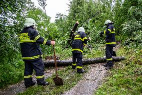 Firemen, Lubina, Koprivnice, waterlogged, hillside fell, fallen trees, power lines
