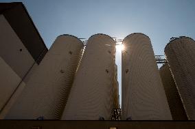 Brewery Budejovicky Budvar , beer production