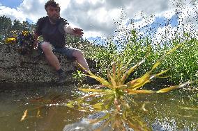 Jiri Sindelar, Botanical Garden in Becov nad Teplou, aquatic plant, planting