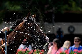 winning horse Rate after the 99th Czech 2000 Guineas race