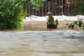 a garden flooded by Anensky Stream after heavy rains in Radim Village, vodyanoy, vodyanoi
