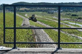 Raciborz dam, Odra river