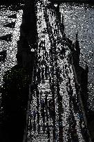 Dinner at 500 metre long table, Charles Bridge, Prague, citizens, Vltava River