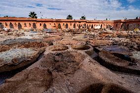 tannery, leather production