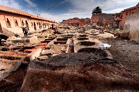 tannery, leather production