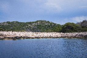 Telascica Nature Park