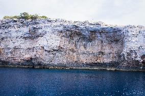 Telascica Nature Park