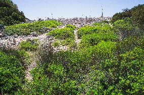 Telascica Nature Park, limestone, cliff, erosion