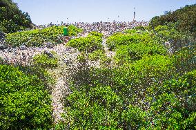 Telascica Nature Park, limestone, cliff, erosion, tourists