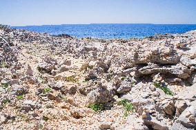 Telascica Nature Park, limestone, cliff, erosion