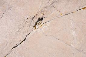 Telascica Nature Park, limestone, cliff, detail