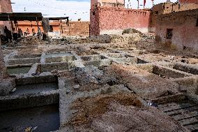 tannery, leather production