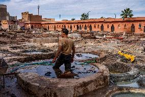 tannery, leather production