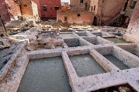 tannery, leather production