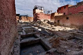 tannery, leather production