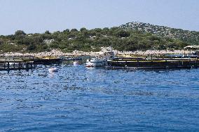 sea, fish farm, farming, fishing