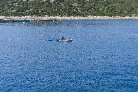 sea, fish farm, farming, fishing, Bottlenose Dolphin, Tursiops truncatus