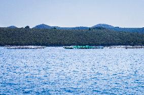 sea, fish farm, farming, fishing