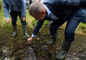 Andrej Babis, stone crayfish (Austropotamobius torrentium)