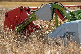 barley harvest, harvester, combine