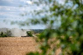 barley harvest, harvester, combine