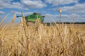 barley harvest, harvester, combine
