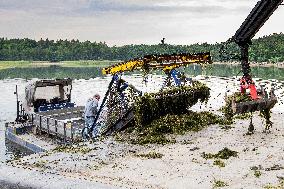 aquatic weed harvester, water mower, mowing boat, weed cutting boat