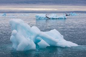 ice floe around Svalbard