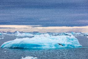 ice floe around Svalbard