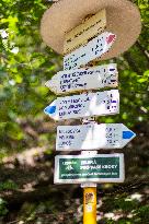 Milesovka, Milesovka, mountain, hill, transmitter, meteorological station, observatory, lookout tower, road, way, signs