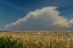 cumulus clouds, storm cloud, sky