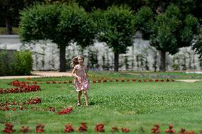 French park at Dobris chateau