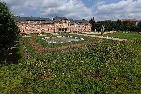 French park at Dobris chateau