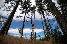 new lookout tower on the Feist hill (Feistuv kopec)