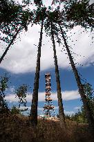 new lookout tower on the Feist hill (Feistuv kopec)