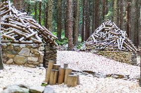 Prachatice, Forest games area, climbing frame, anthill, ant, playground, trees