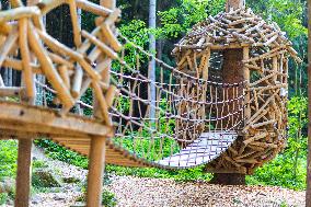 Prachatice, Forest games area, climbing frame, playground, trees, bird, nest