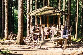 Prachatice, Forest games area, climbing frame, anthill, ant, playground, trees